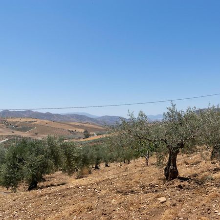 Casa Los Olivos Alora - Caminito Del Rey Экстерьер фото