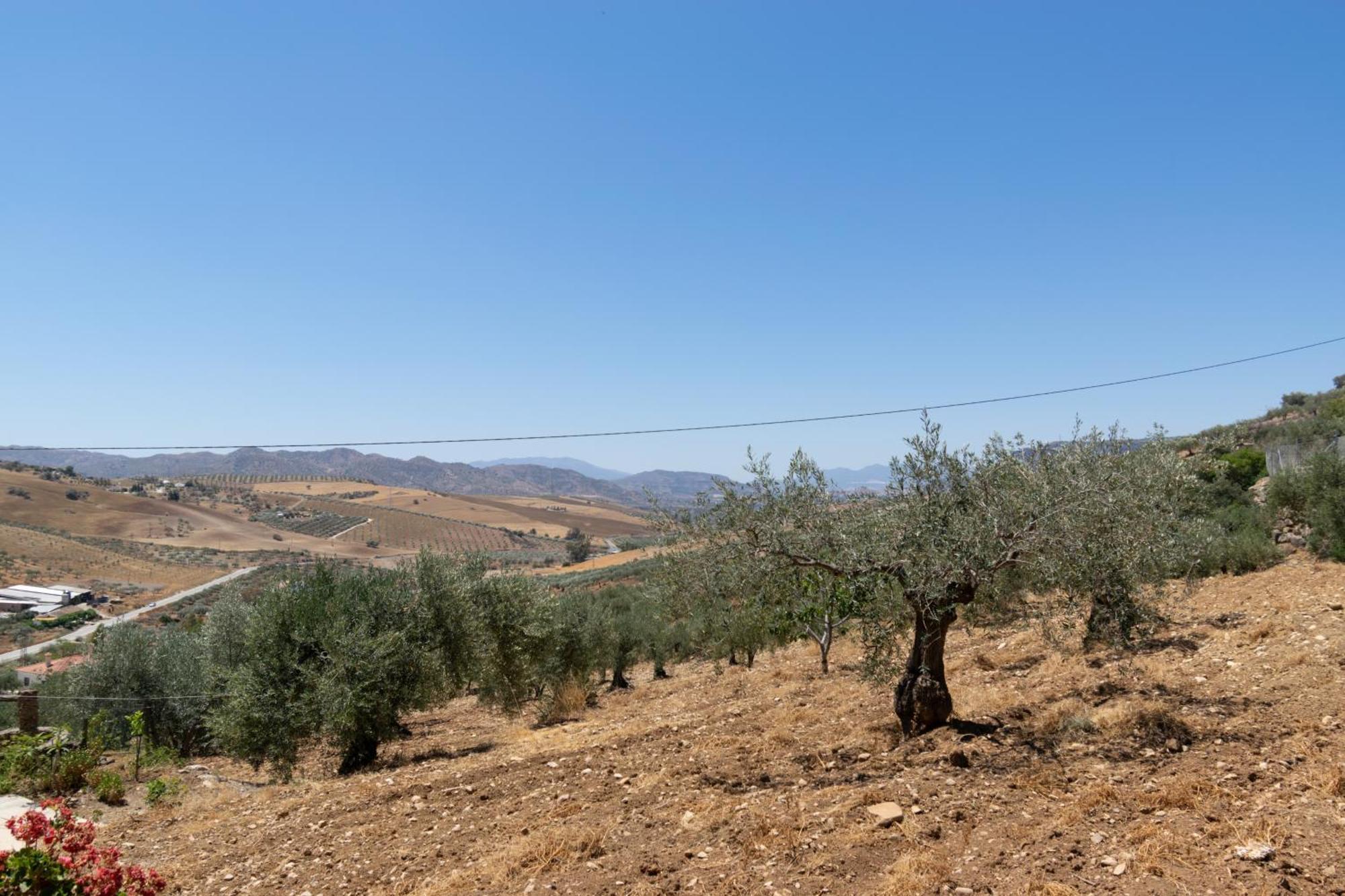 Casa Los Olivos Alora - Caminito Del Rey Экстерьер фото